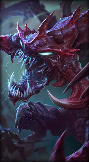 斑鸠哥是什么梗